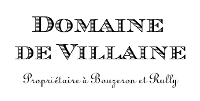 Domaine De Villaine